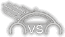 Logo pie VS